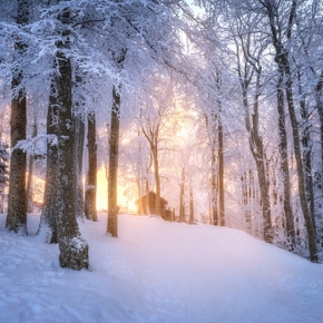 Pololetní prázdniny